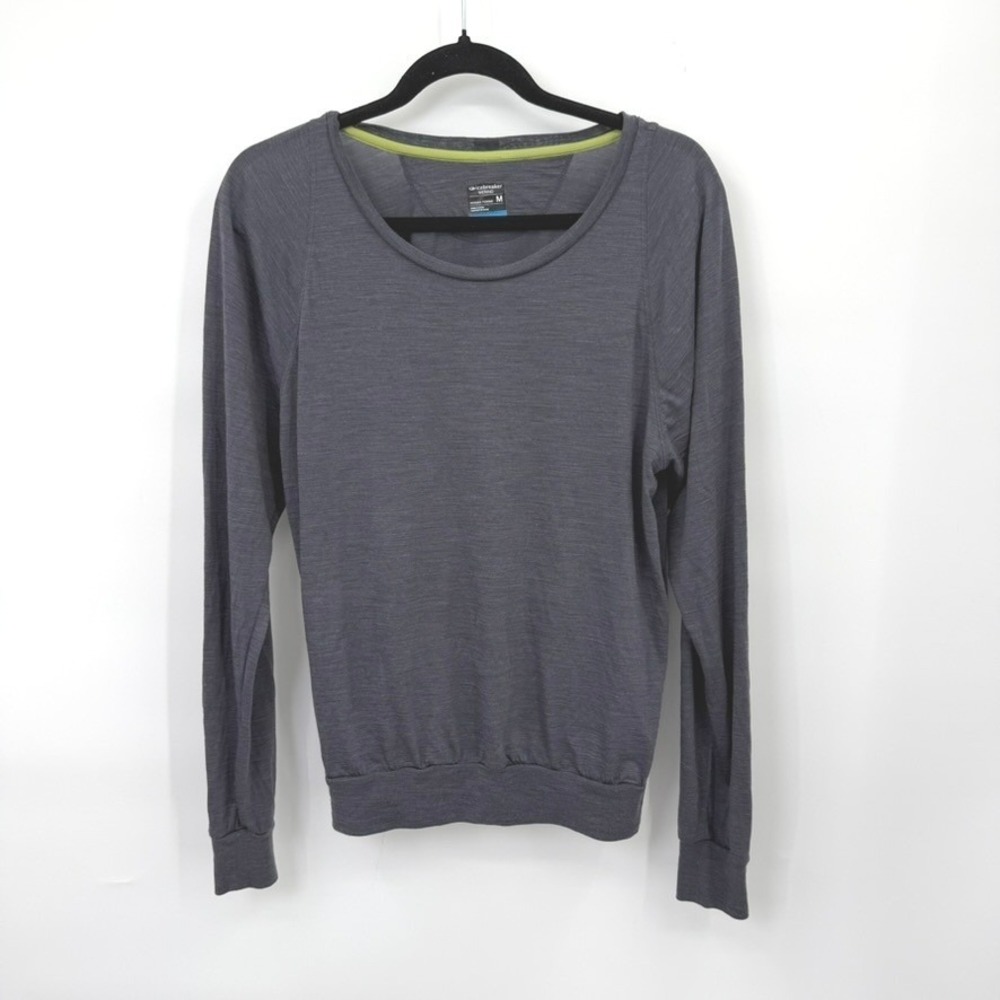 Icebreaker Merino Long Sleeve Top Women M Activewear Outdoor Hiking Gorpcore